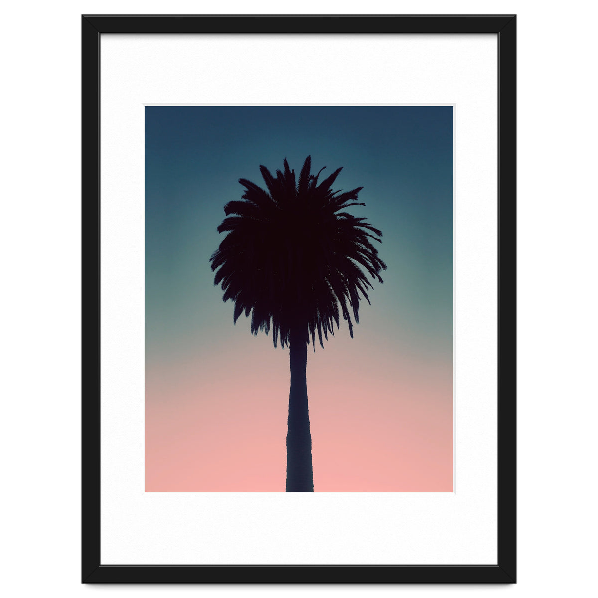 Sundown Palm