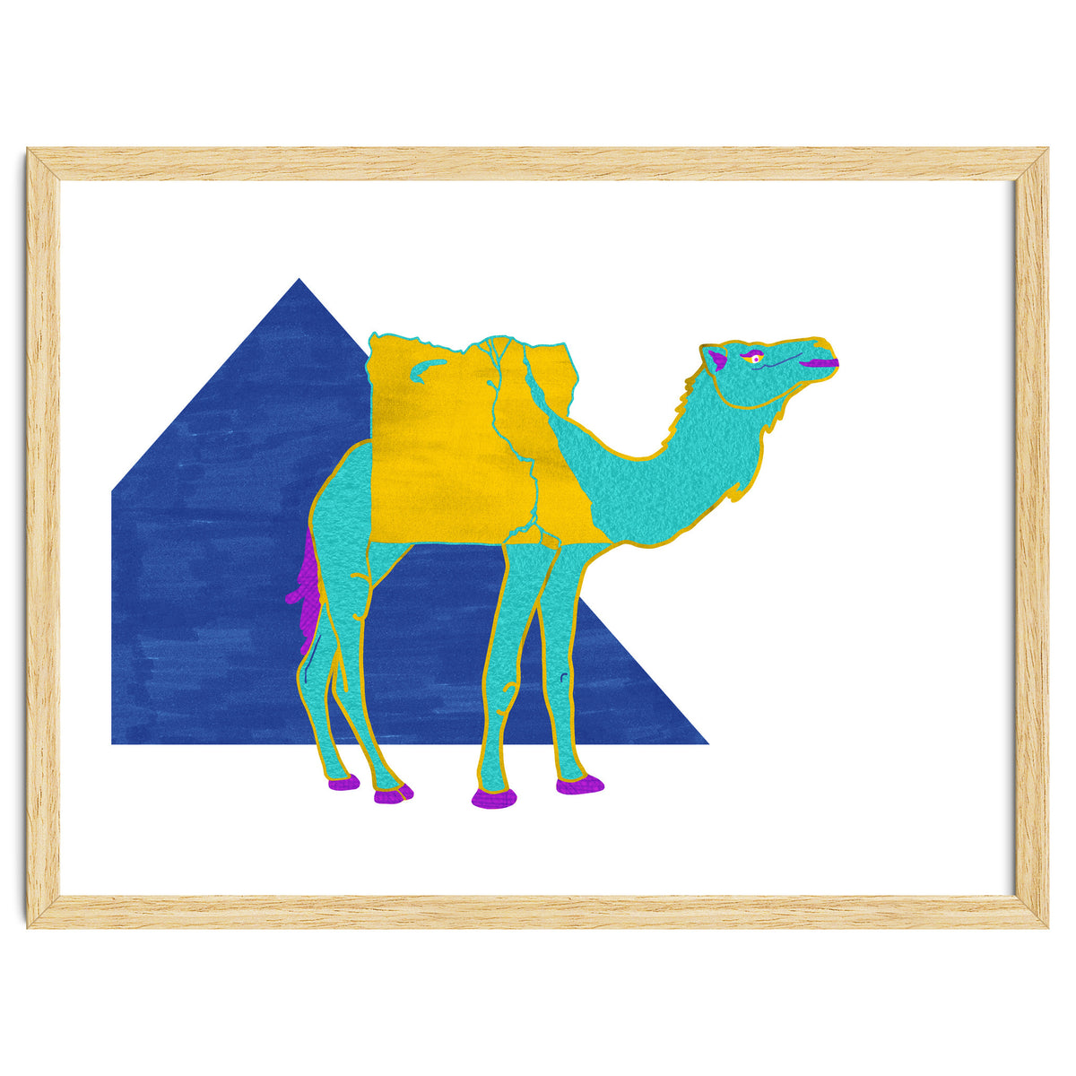 Egyptian Dromedary