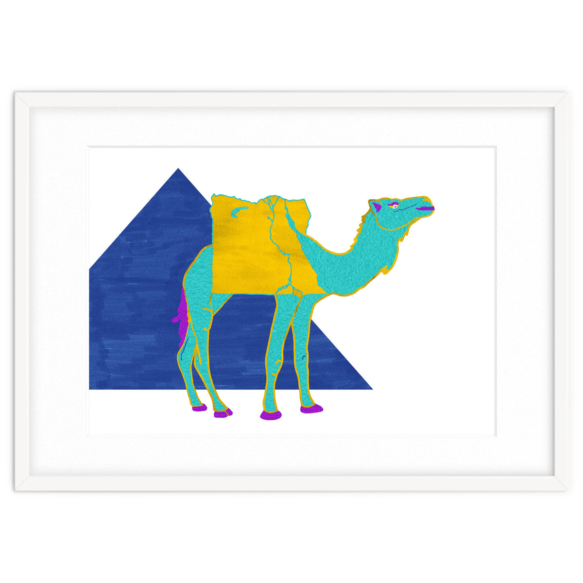 Egyptian Dromedary