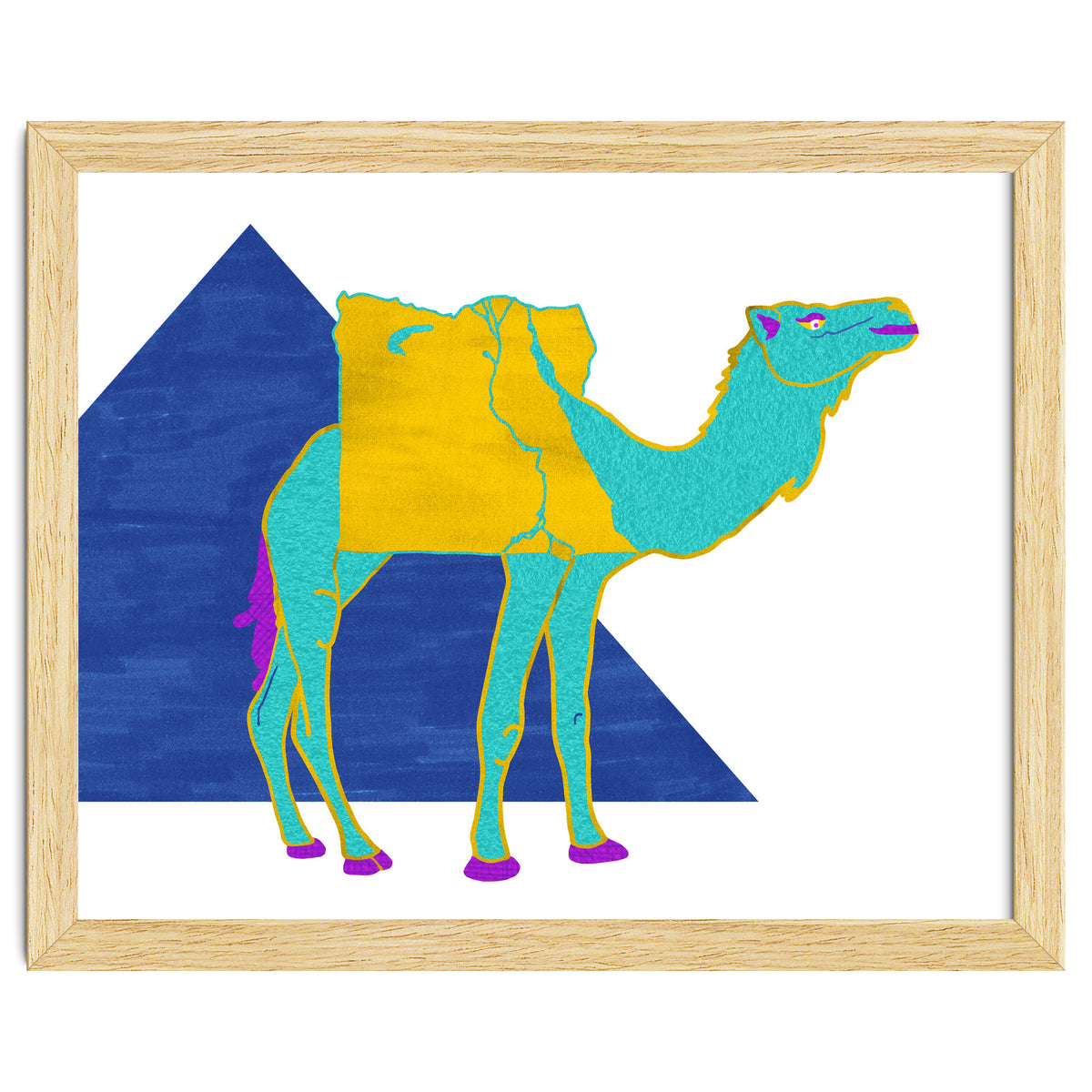 Egyptian Dromedary