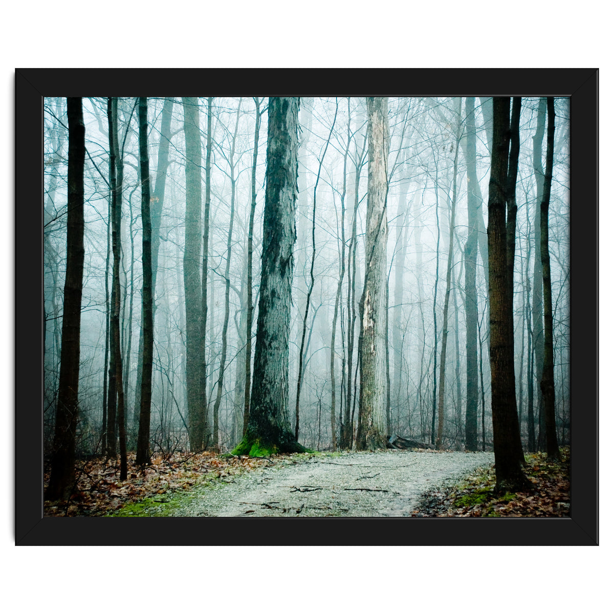 Gather Up Your Dreams