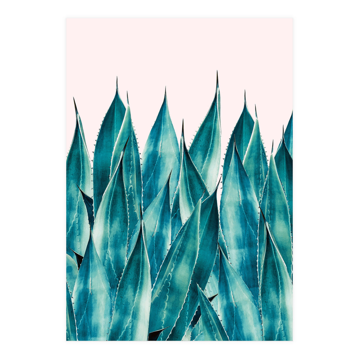 Summer Agave (Print Only)