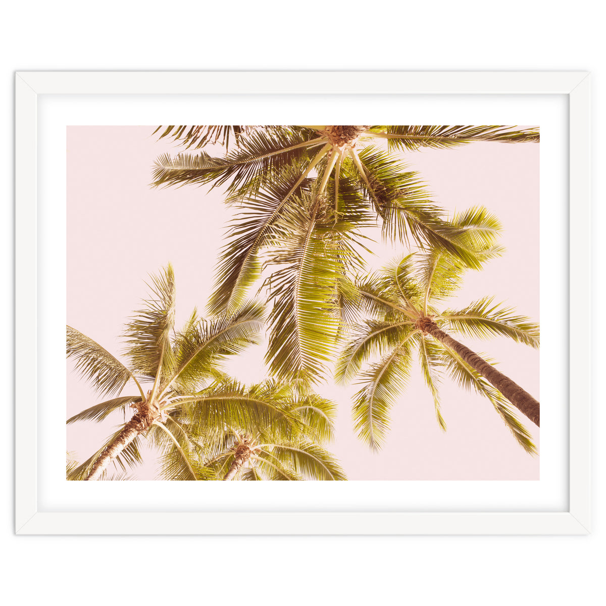 Blush Pink Boho Palm Trees