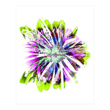 Tropic (Print Only) thumbnail