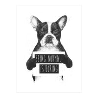 Being Normal Is Boring (Print Only)