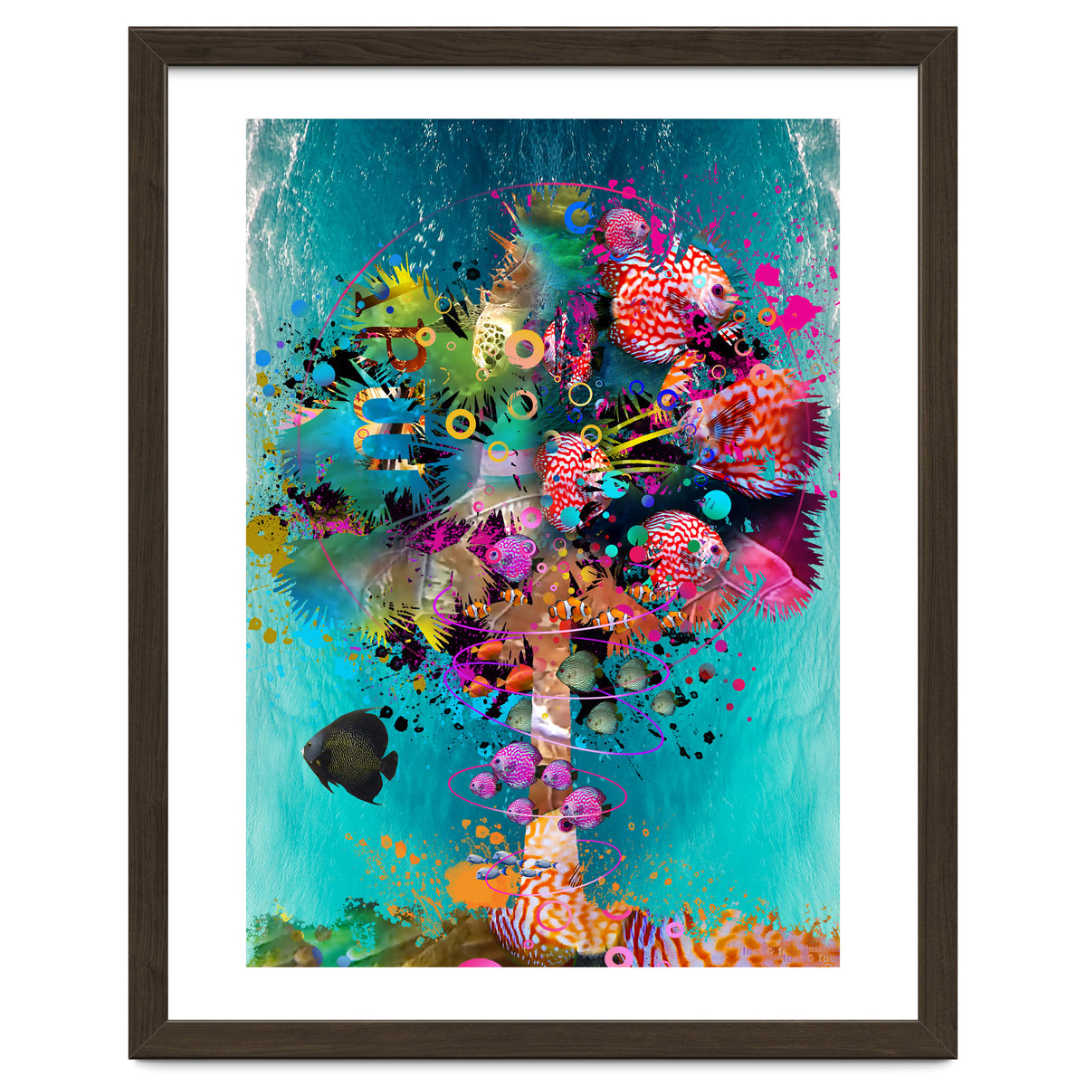 Surf Palm 02 Halfed Large2