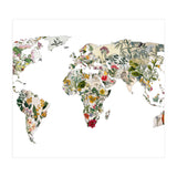 Vintage Botanical Map (Print Only) thumbnail