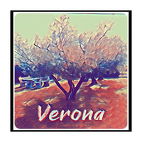 Olive Tree In Verona (Print Only)