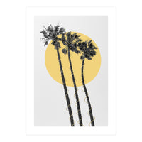 Palm Trees in the sun  (Print Only)