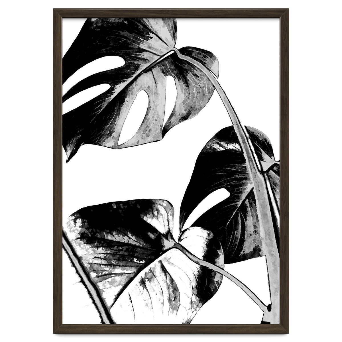Black Tropical Leaves