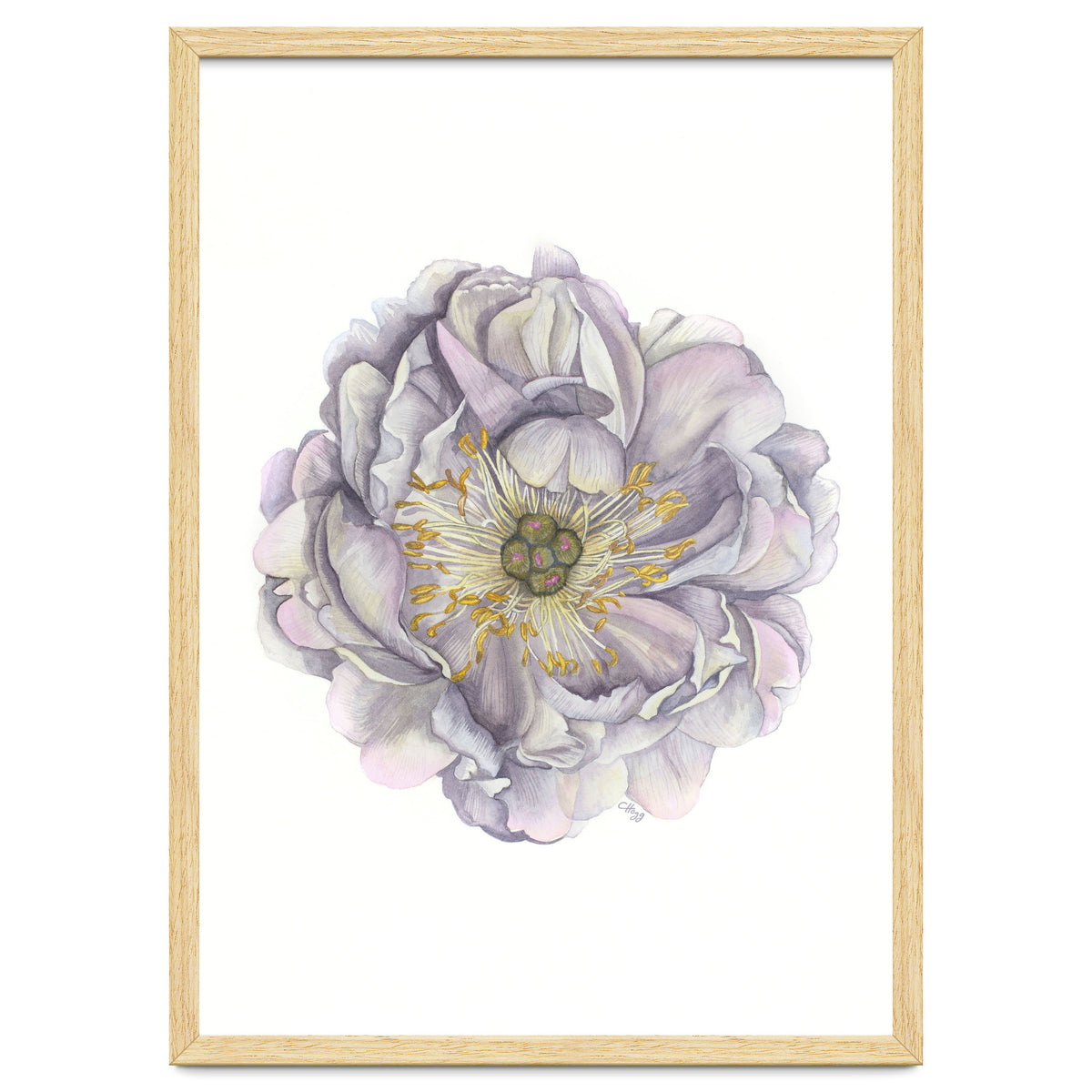 A Peony In Grey Std