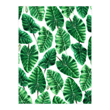 Taro (Print Only) thumbnail