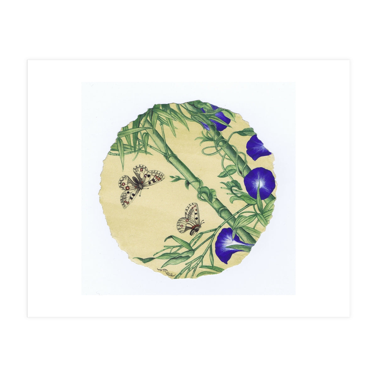 Circle 13 (Print Only)