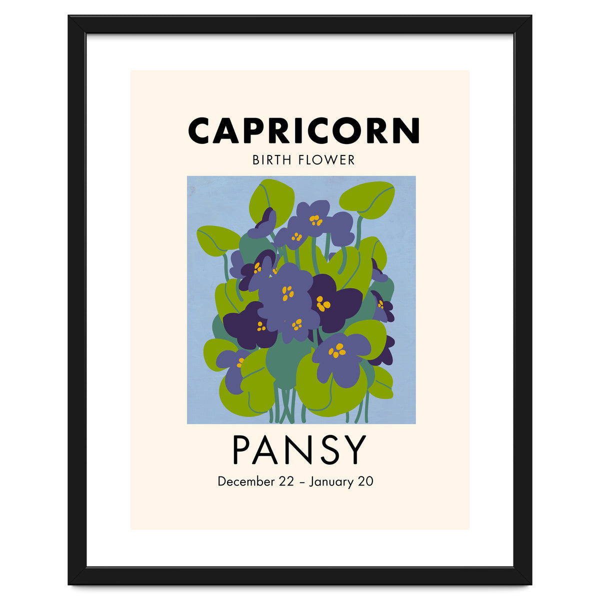 Capricorn Birth Flower Pansy