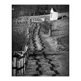 Forestry path (Print Only) thumbnail