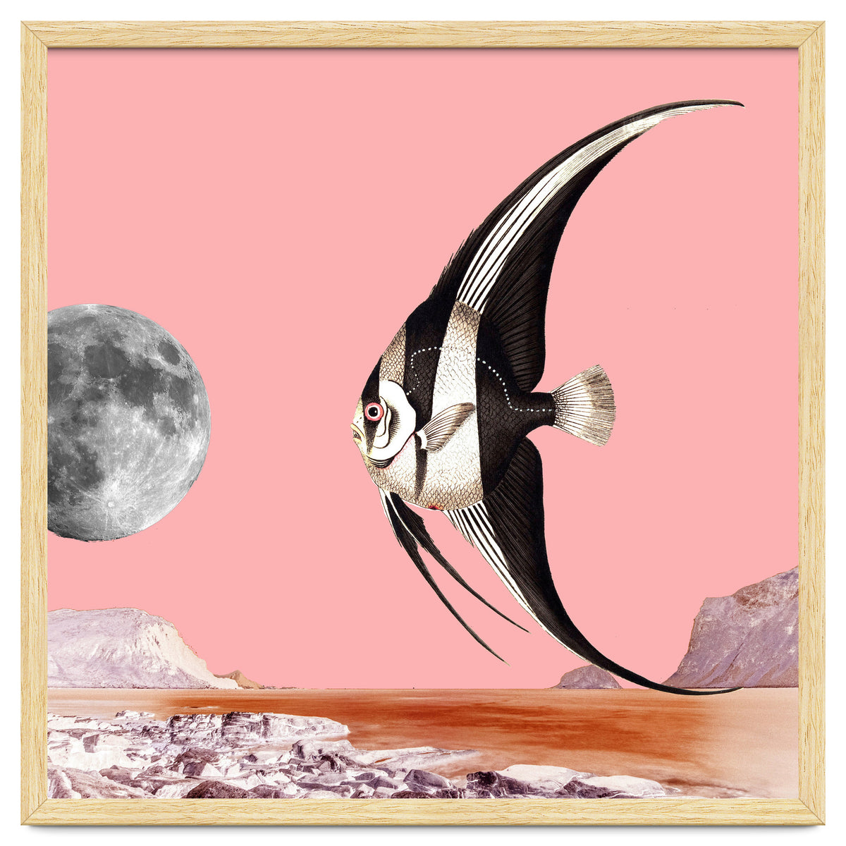 Plenty Of Fish In The Sea Pink