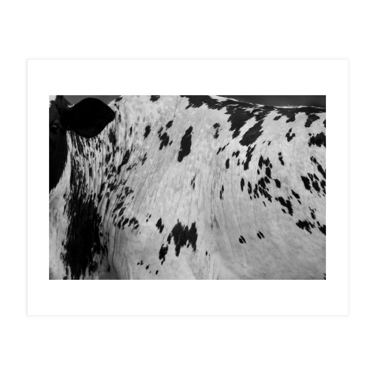 Abstract #3 (Print Only)