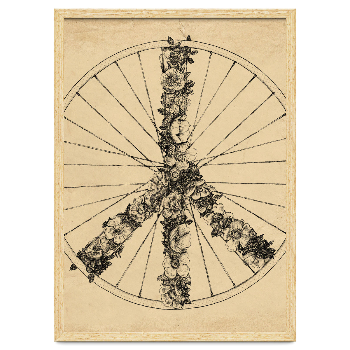 Peace And Bike Lines