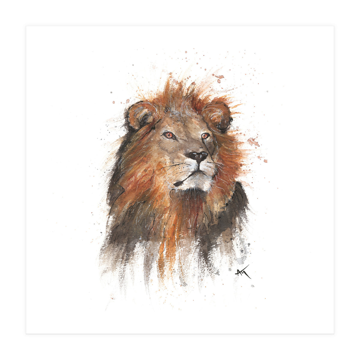 Lion - Wildlife Collection (Print Only)