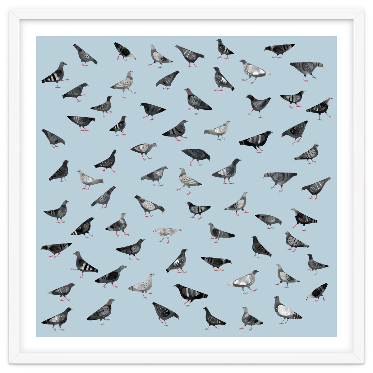 Pigeons Doing Pigeon Things