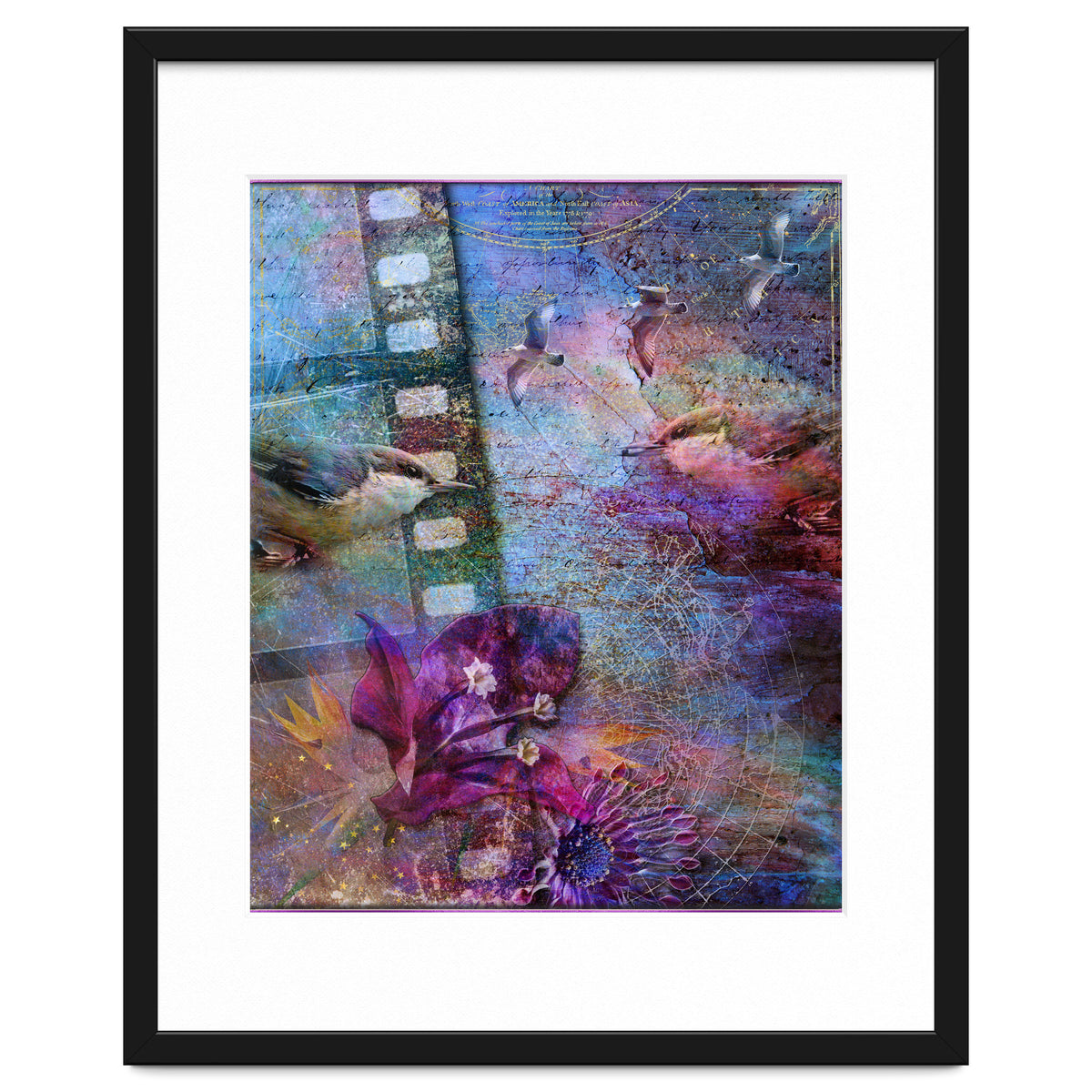 Watching the Wild World