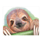 Smiling Sloth (Print Only) thumbnail