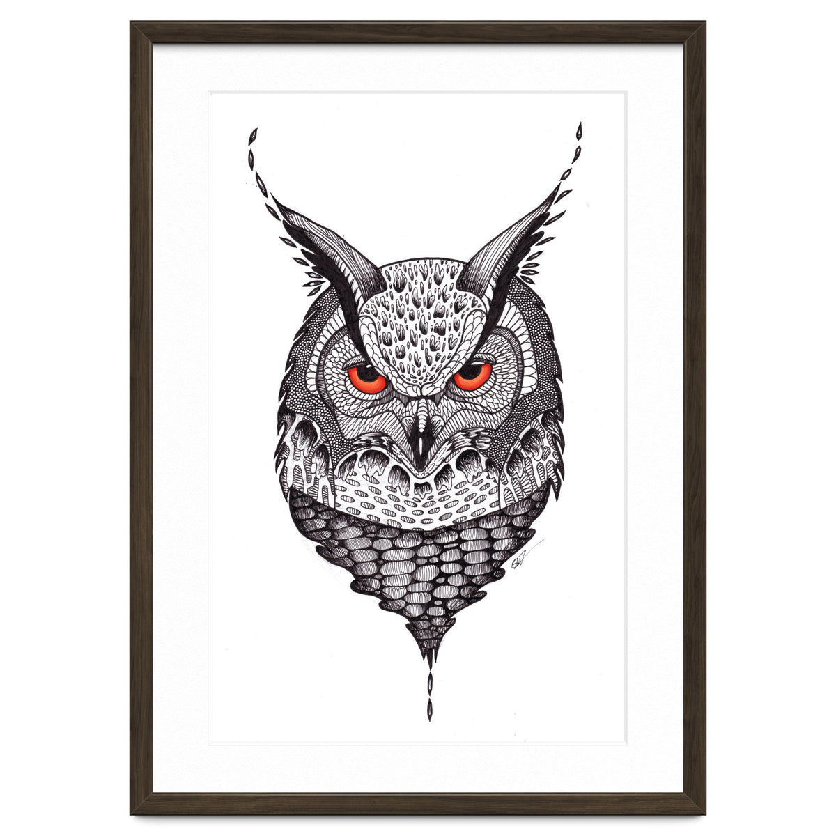 Owl