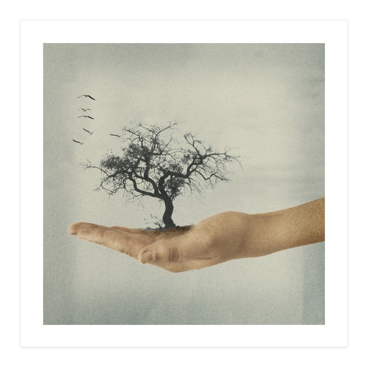 Its All In Your Mind (Print Only)