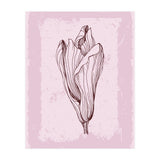 Magnolia Neutral Abstract Botanical (Print Only) thumbnail