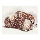 Giraffe (Print Only) thumbnail