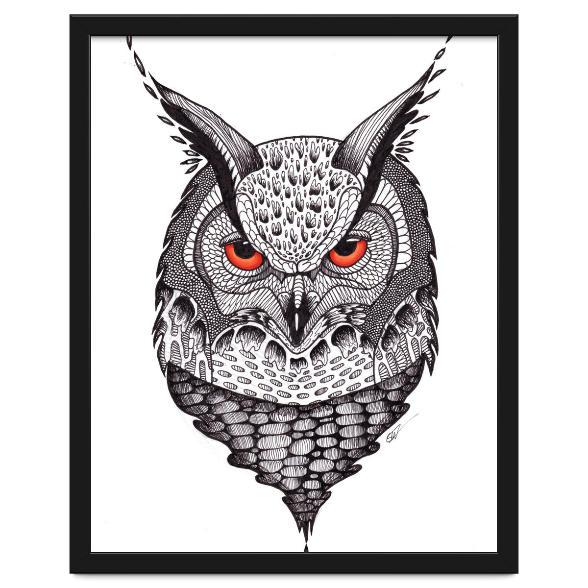 Owl