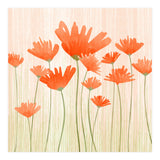 Red Poppy Meadow (Print Only) thumbnail