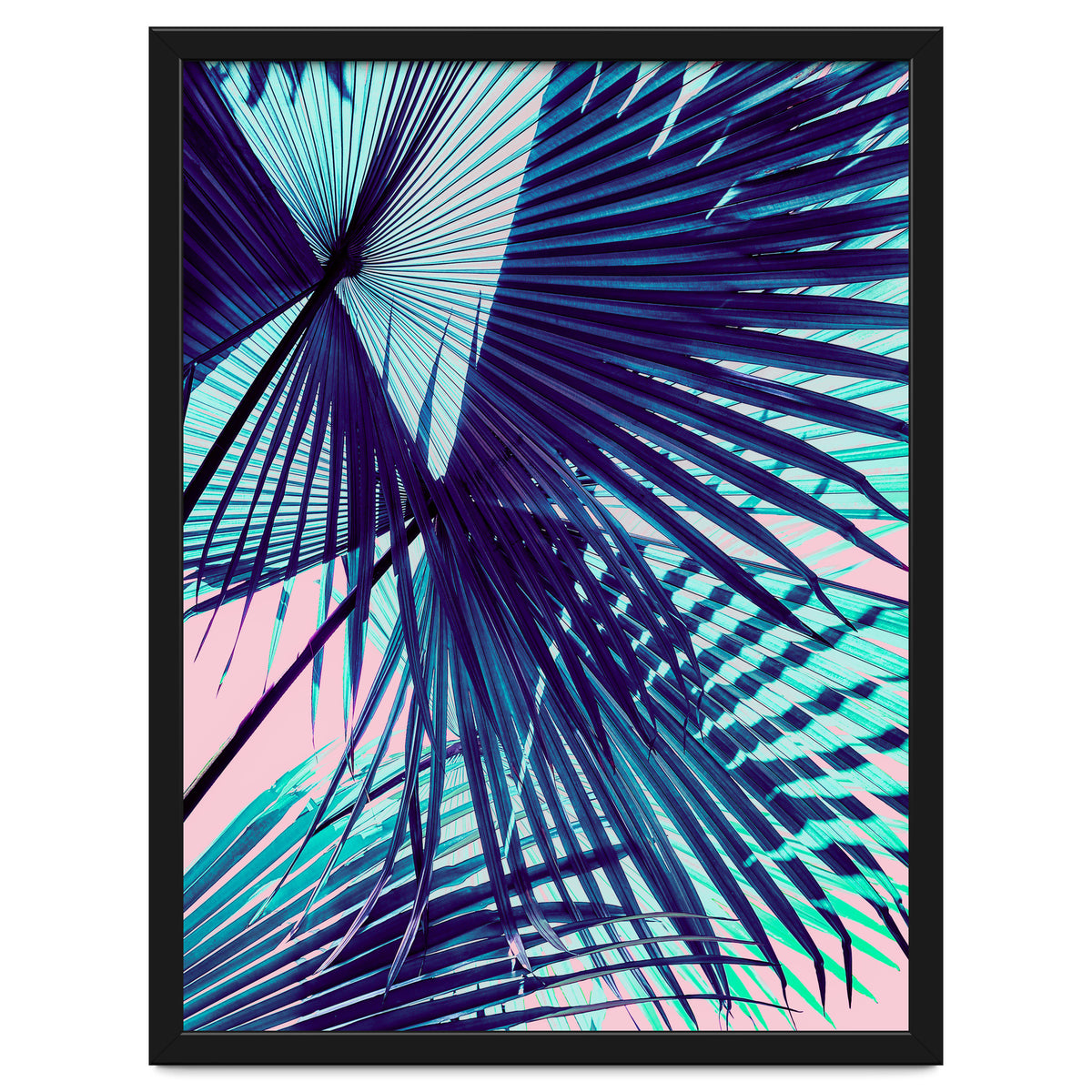 Palm leaf on the beach