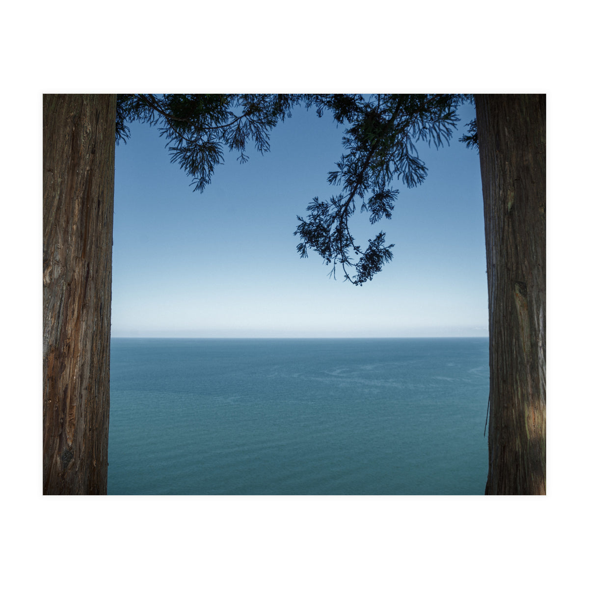 Picture Postcard Perfect (Print Only)