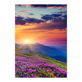 Nature (Print Only) thumbnail