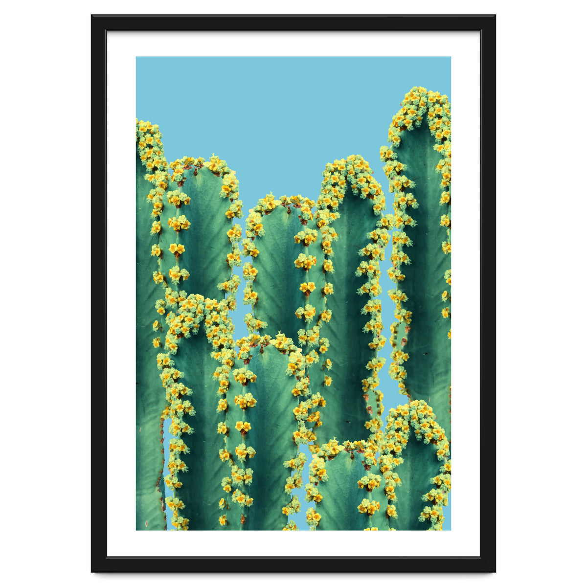 Adorned Cactus V2