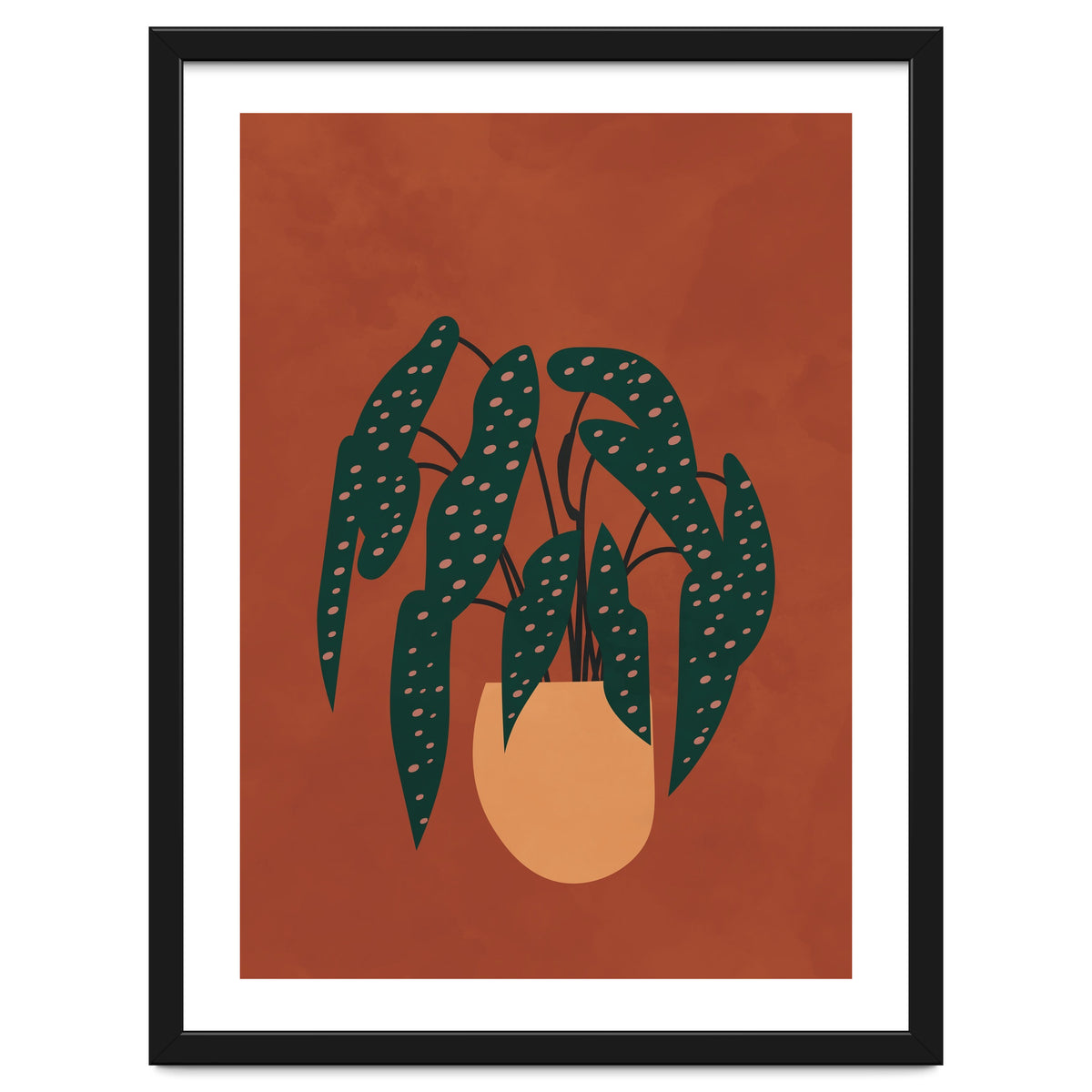 Boho Terracotta Begonia