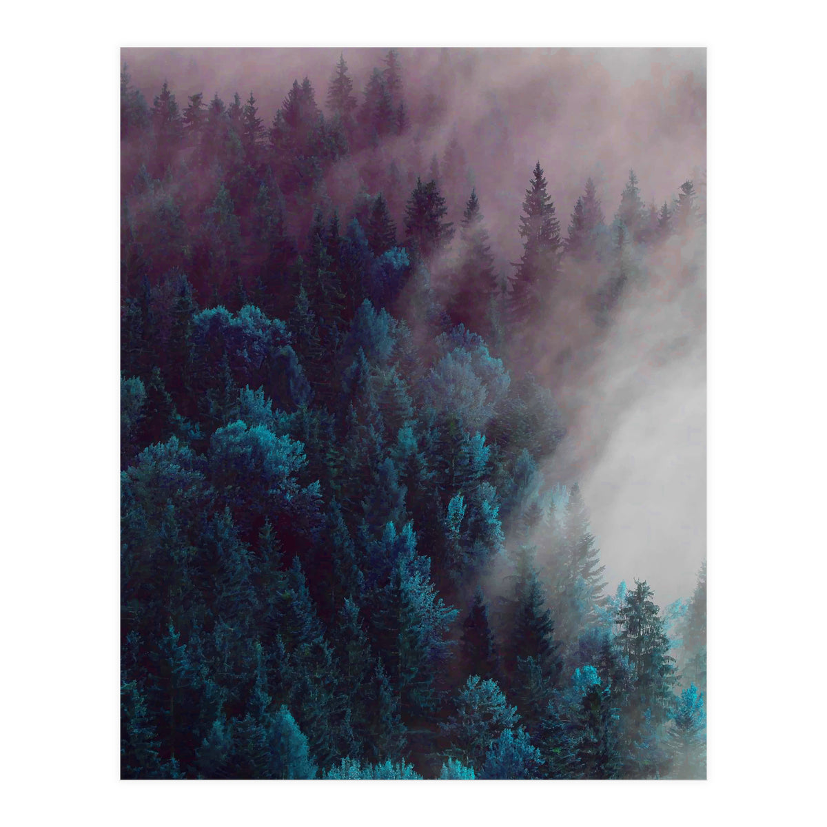 Anywhere You Go (Print Only)