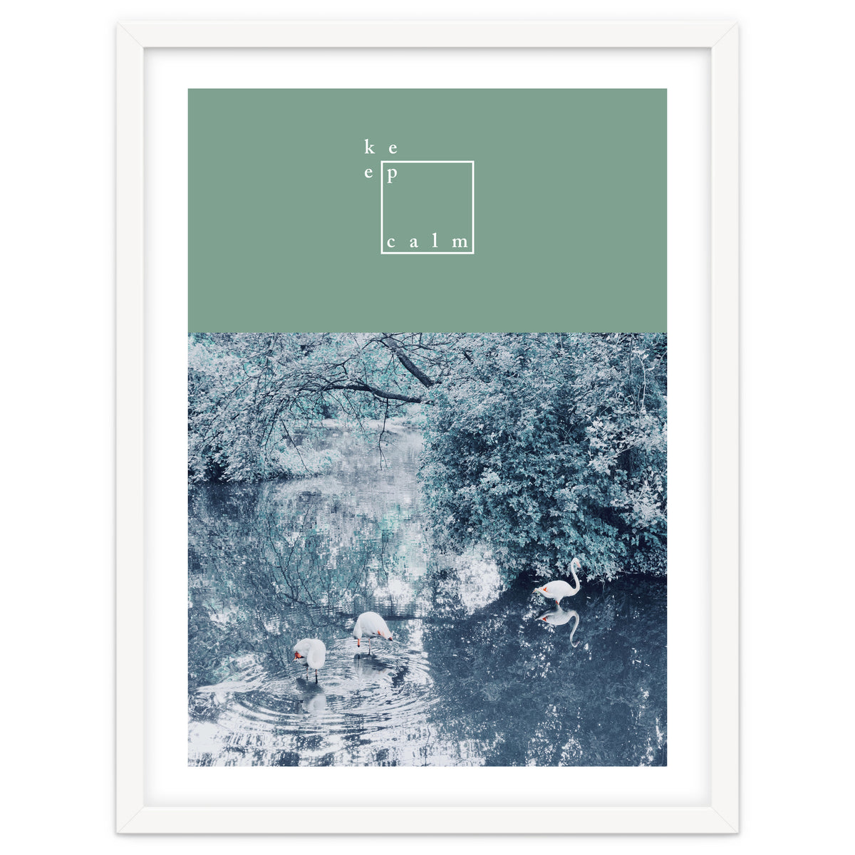 Flamingos - keep calm