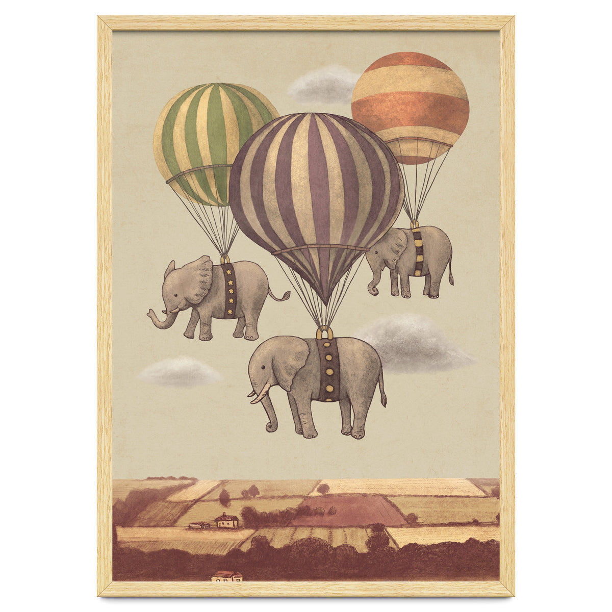 Flight Of The Elephants