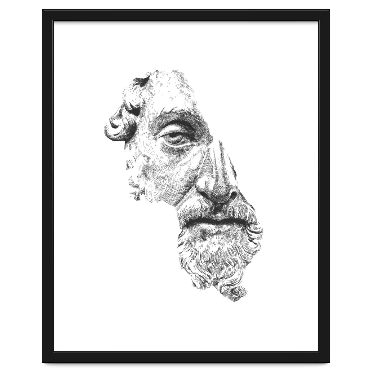 MARCUS AURELIUS ANTONINUS AUGUSTUS / black and white