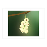 Cherry Blossom Art (Print Only) thumbnail
