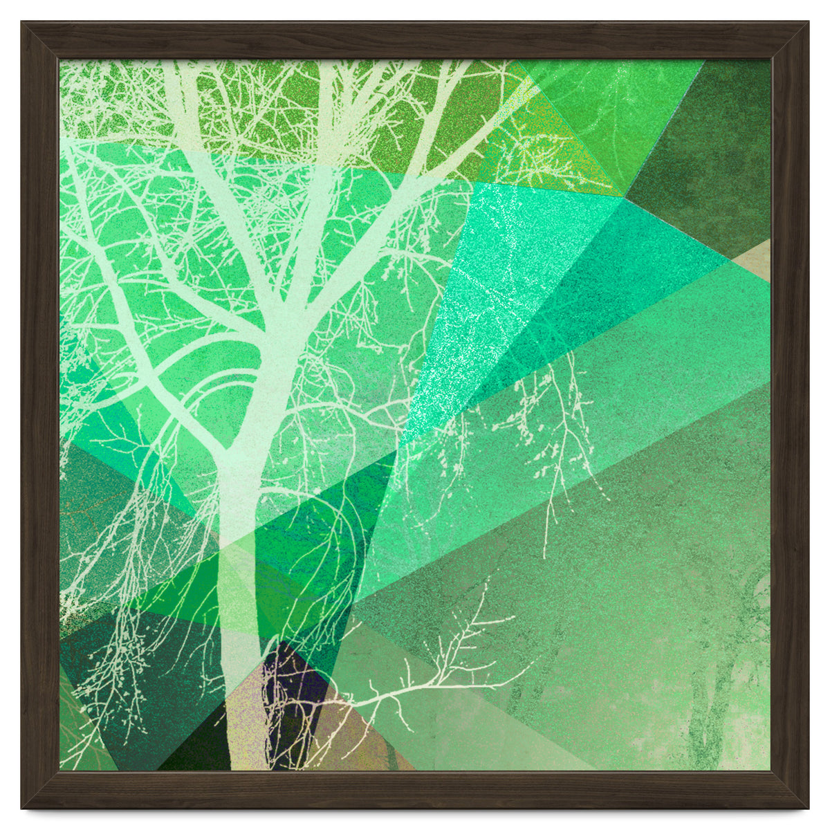 P22-B3 Trees And Triangles