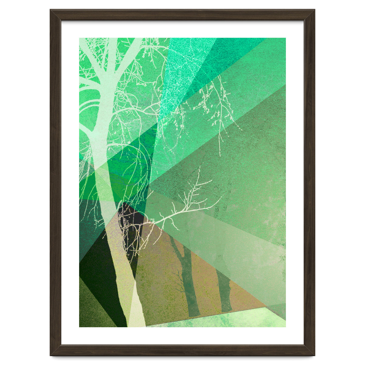 P22-B6 Trees And Triangles