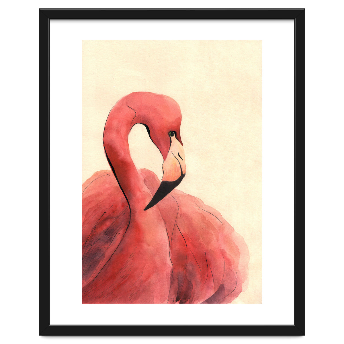 Flamingo