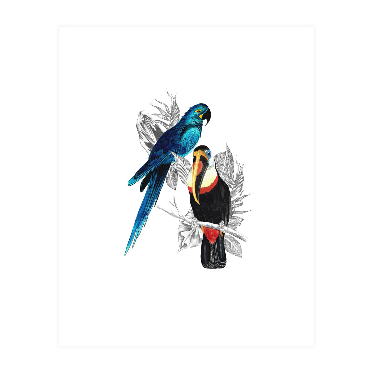 The Toucan and the Parrot (Print Only)