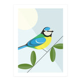 Mid Century Geometric Blue Tit (Print Only) thumbnail