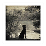 Waiting for you (Print Only) thumbnail
