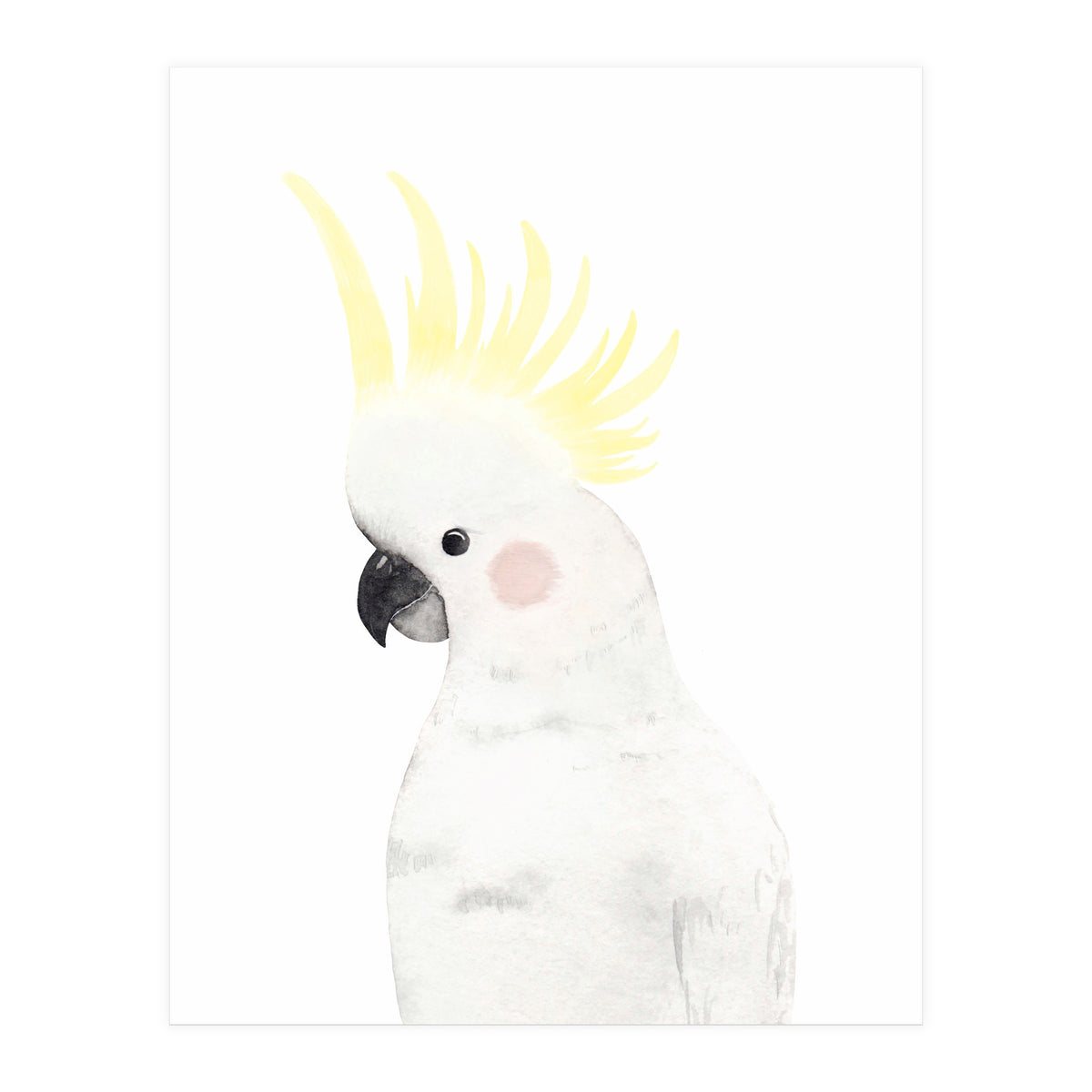 Sweet Cockatoo (Print Only)