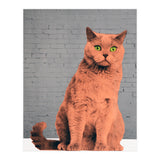 Everybody Wants To Be A Cat  (Print Only) thumbnail